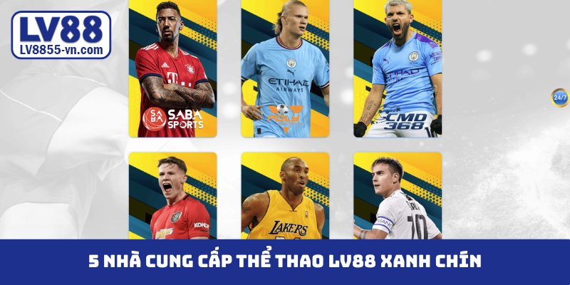 5 nhà cung cấp thể thao LV88 xanh chín